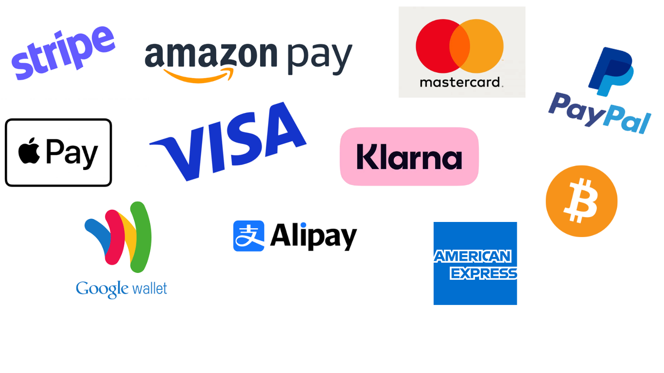 payment methods for eccomerce